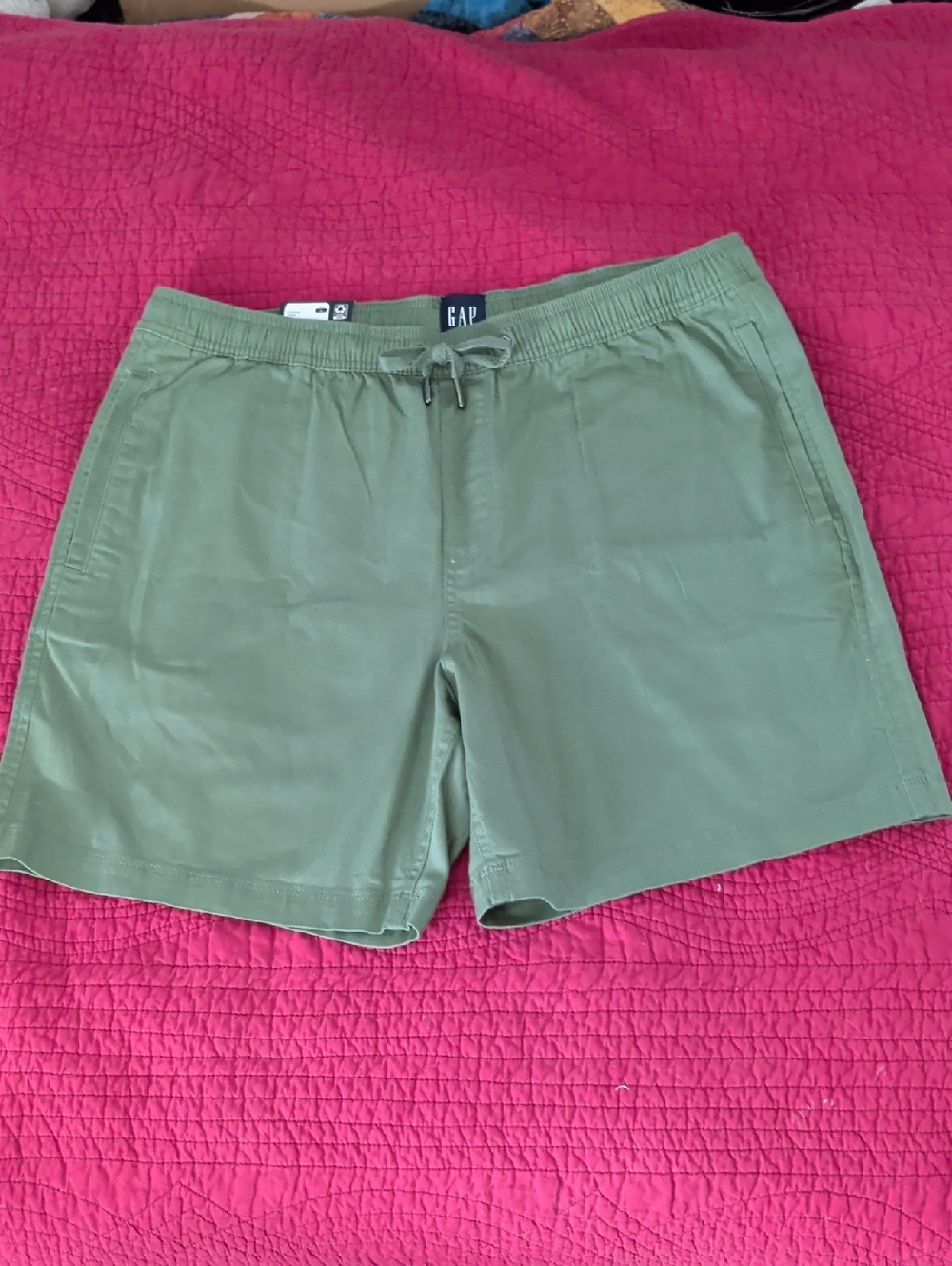 GAP Olive Drawstring Casual Shorts Sz Lg